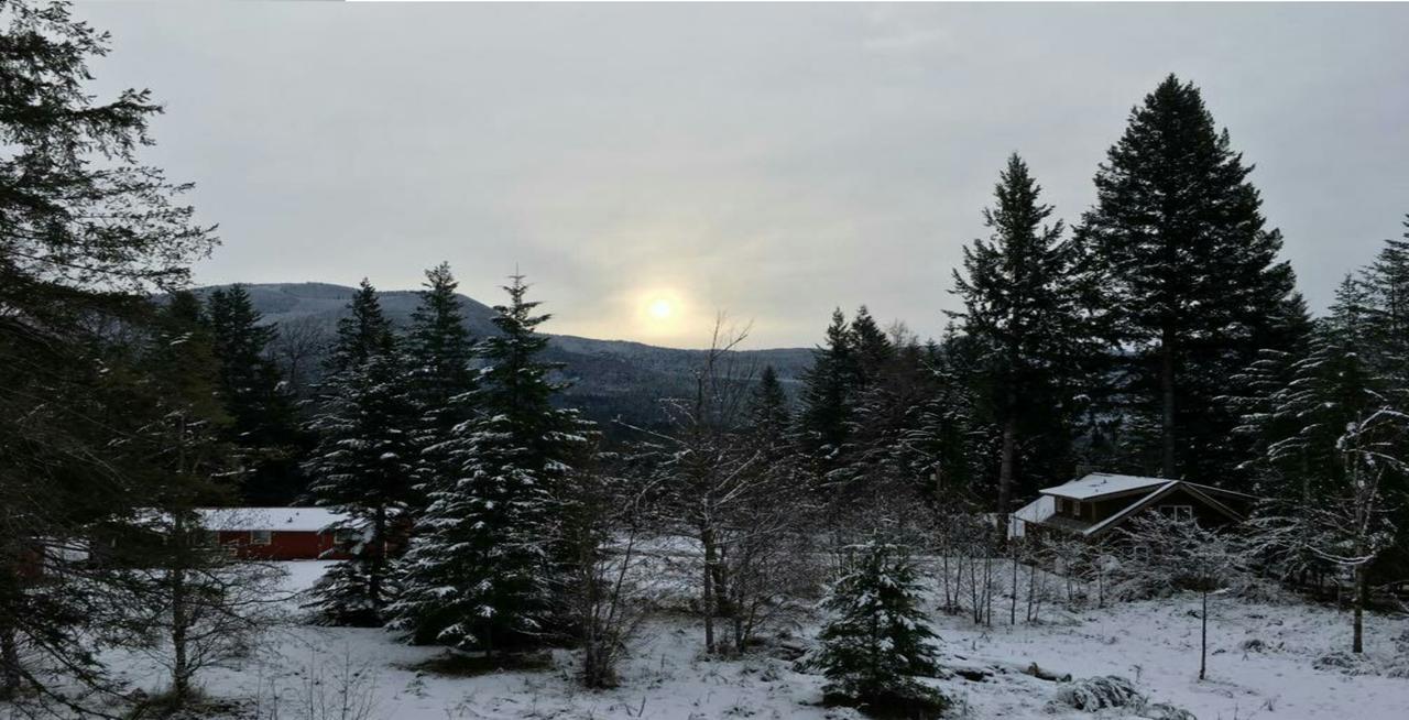 Packwood Ski & Vacation Getaway Dış mekan fotoğraf