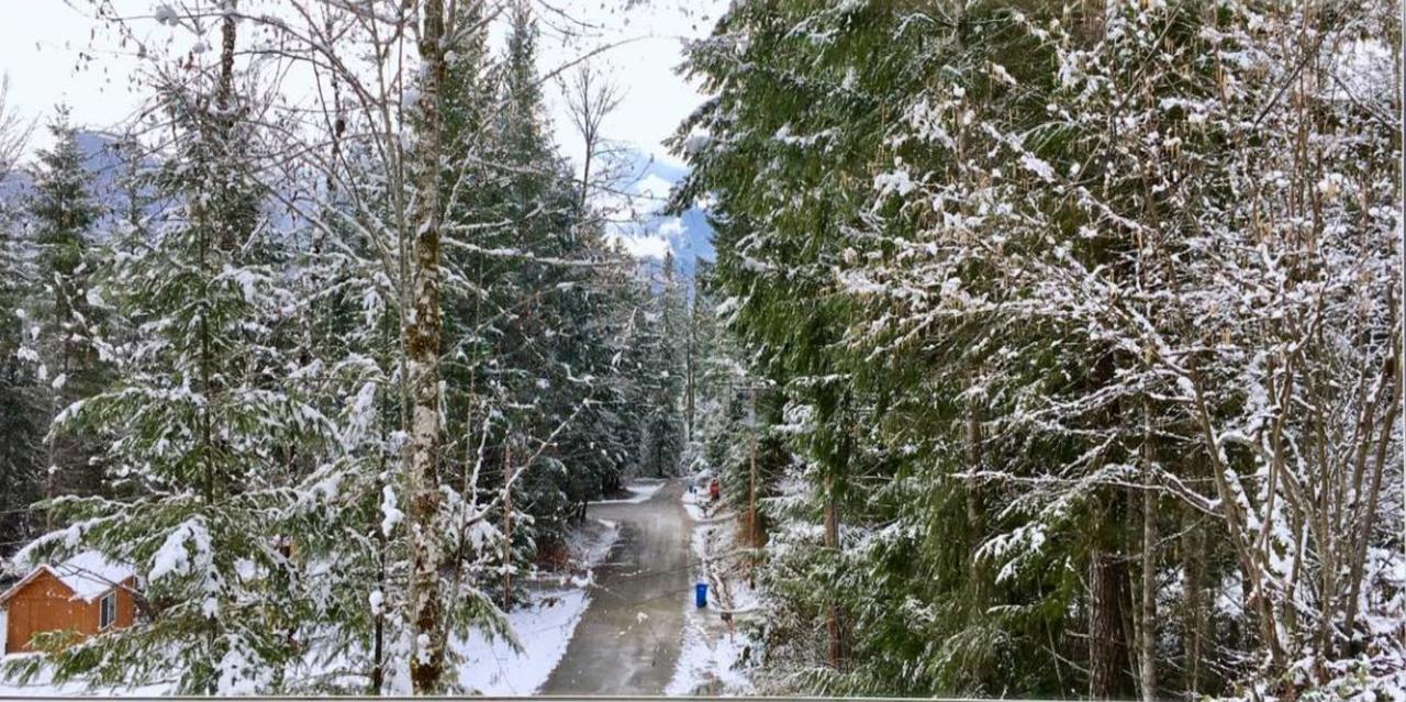 Packwood Ski & Vacation Getaway Dış mekan fotoğraf